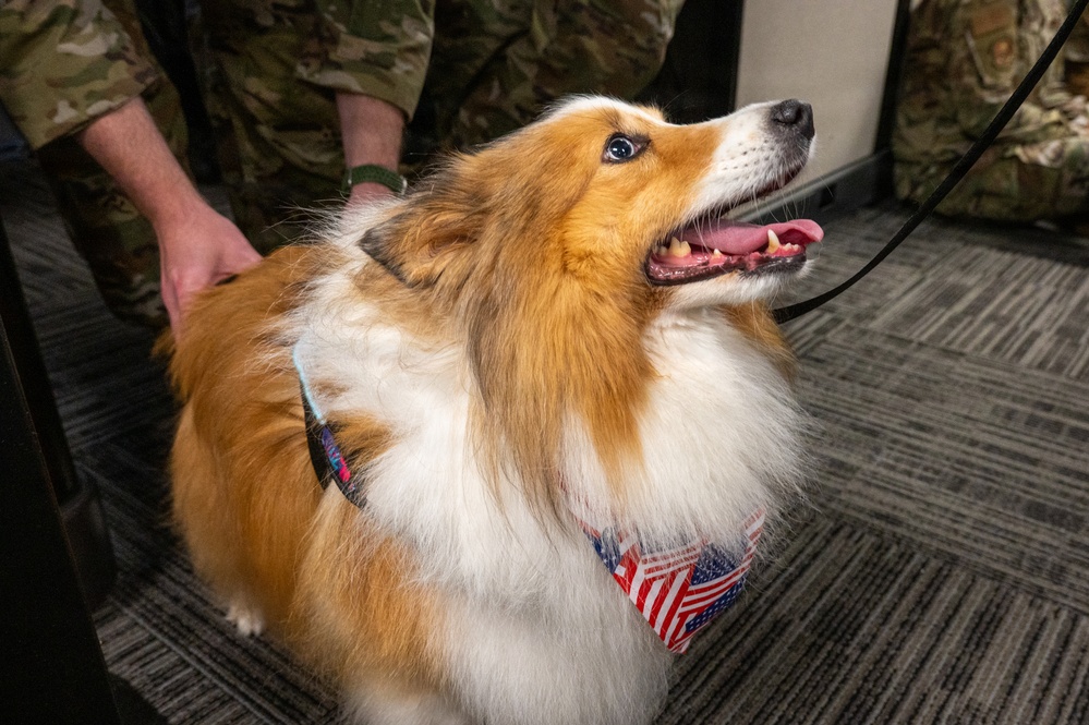A New Tail at the 171st ARW