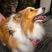 A New Tail at the 171st ARW