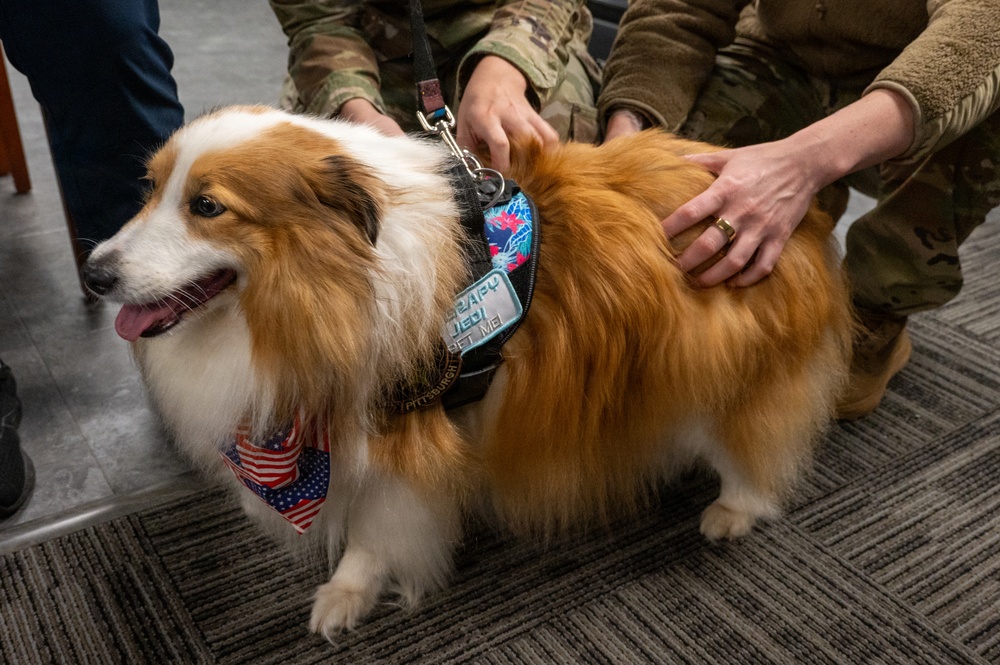 A New Tail at the 171st ARW