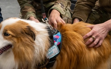 A New Tail at the 171st ARW
