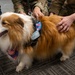 A New Tail at the 171st ARW