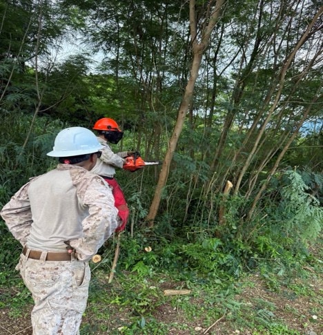 U.S. Marines with MCED-P clear vegetation for future infrastructure