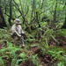 MCED-P 26.1 conduct tree felling operations