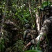 U.S. Naval Special Warfare operators train with partner forces during RIMPAC 2026