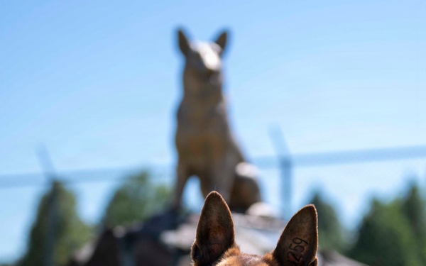 Faces of Fairchild