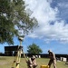 MCED-P 26.1 enhance capabilities