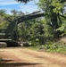 MCED-P 26.1 clear dense vegetation