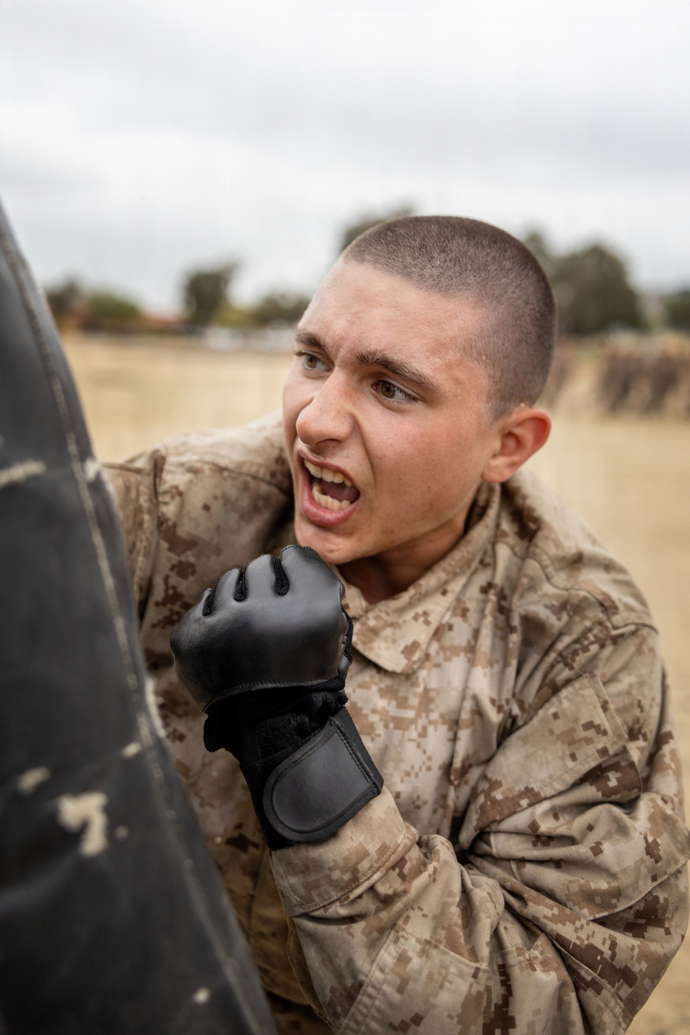 Charlie Company Confidence Course