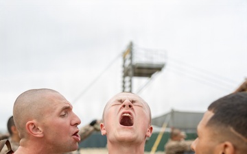 Charlie Company Confidence Course