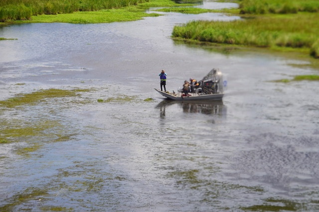 La. Guard supports St. Tammany Parish coastal restoration with Christmas tree drop