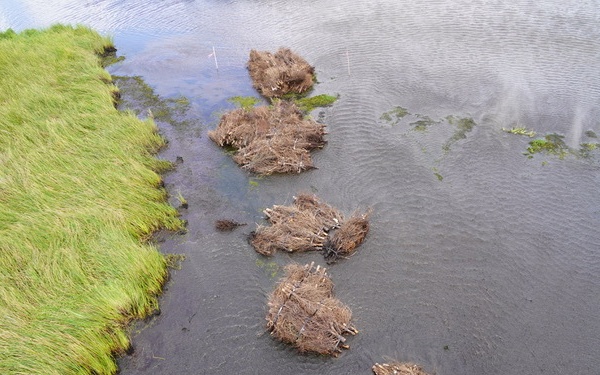 La. Guard supports St. Tammany Parish coastal restoration with Christmas tree drop