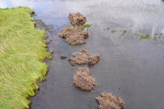 La. Guard supports St. Tammany Parish coastal restoration with Christmas tree drop