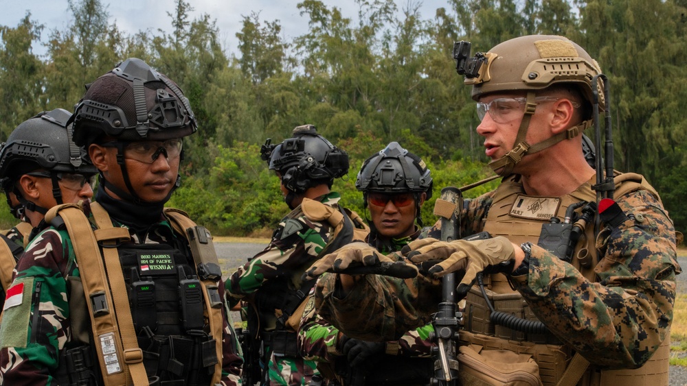VMM-164 (Rein.) inserts Indonesian, Fijian forces during amphibious raid training