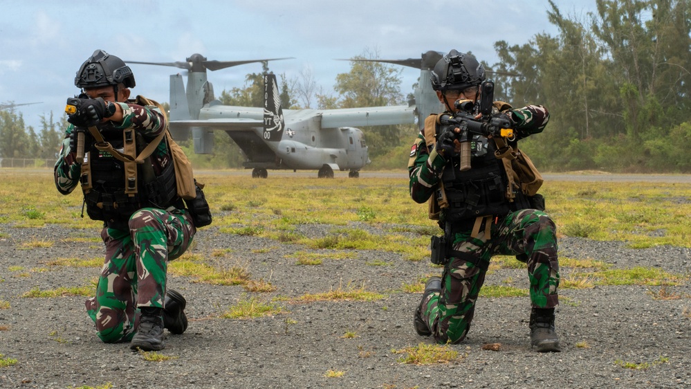 VMM-164 (Rein.) inserts Indonesian, Fijian forces during amphibious raid training