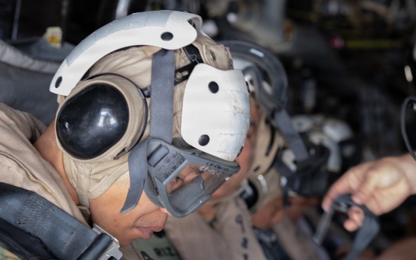 U.S. Marines host multinational military, civilian leaders during RIMPAC