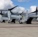 U.S. Marines host multinational military, civilian leaders during RIMPAC