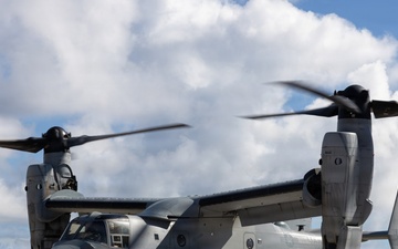U.S. Marines host multinational military, civilian leaders during RIMPAC