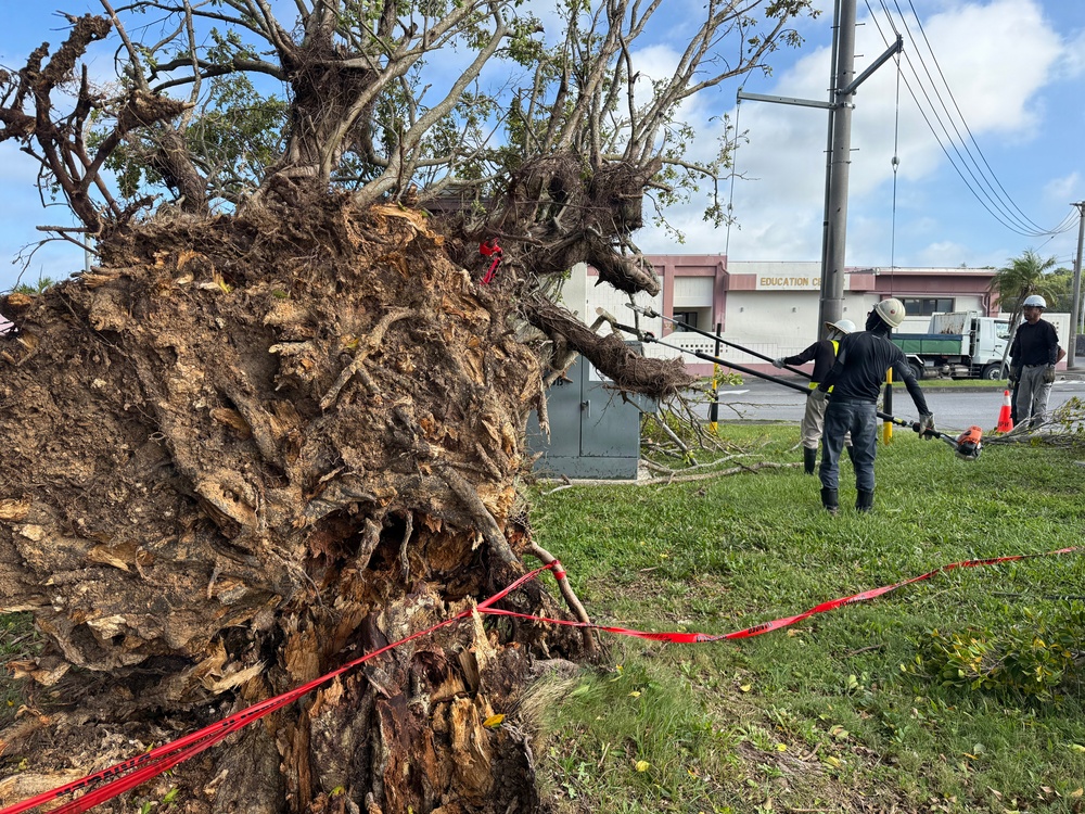 USAG Okinawa DPW clears Typhoon Bavi debris
