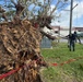 USAG Okinawa DPW clears Typhoon Bavi debris