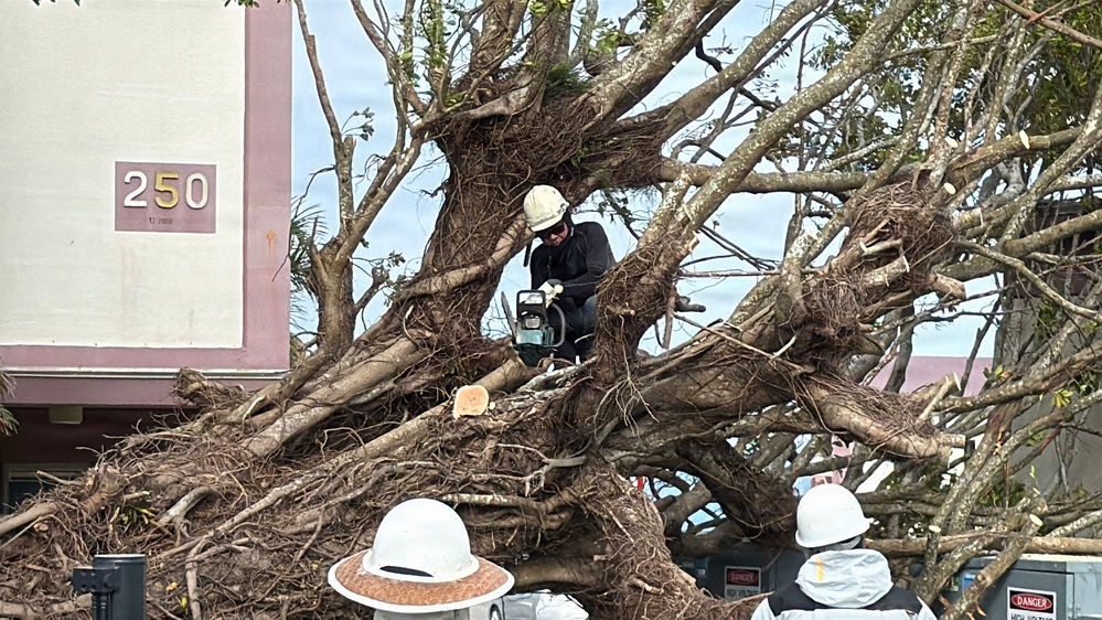 USAG Okinawa DPW clears Typhoon Bavi debris