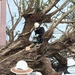 USAG Okinawa DPW clears Typhoon Bavi debris