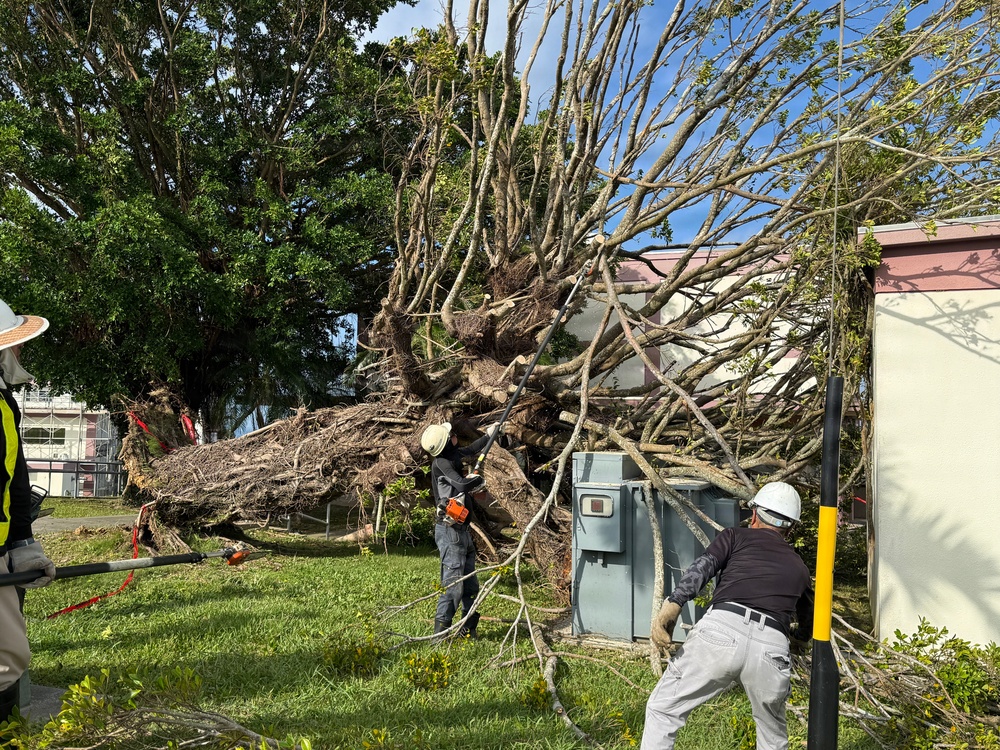 USAG Okinawa DPW clears Typhoon Bavi debris
