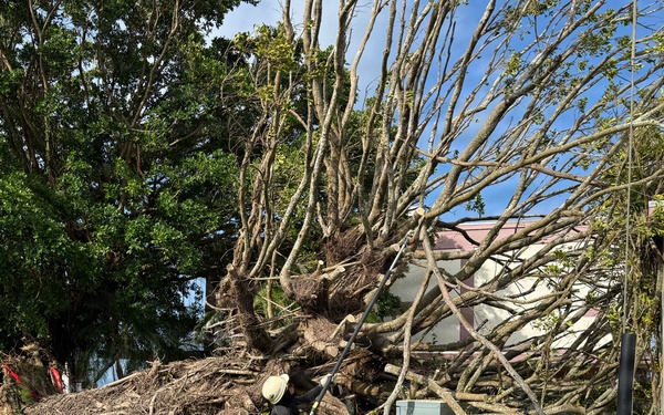 USAG Okinawa DPW clears Typhoon Bavi debris