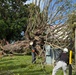 USAG Okinawa DPW clears Typhoon Bavi debris