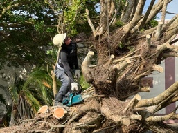 USAG Okinawa DPW clears Typhoon Bavi debris