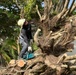 USAG Okinawa DPW clears Typhoon Bavi debris