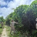 MCED-P 26.1 clear dense vegetation
