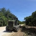 MCED-P 26.1 clear dense vegetation
