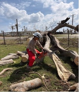 A worker wearing a white hard hat and red protective chaps is using an orange chainsaw to cut through a large fallen tree. The surrounding area shows extensive storm damage with multiple cut log sections, downed trees, and stripped vegetation visible in the background. The scene is consistent with post-hurricane or severe storm debris clearance operations.