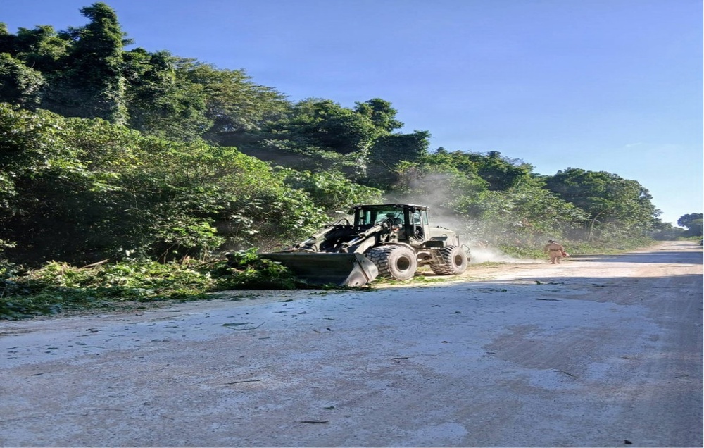 A front-end loader/wheel loader is actively clearing vegetation and debris from the edge of a paved road. The machine appears to be pushing cut branches and foliage off the road surface, with dust visible in the air. At least one person is visible in the background observing or supervising the operation.