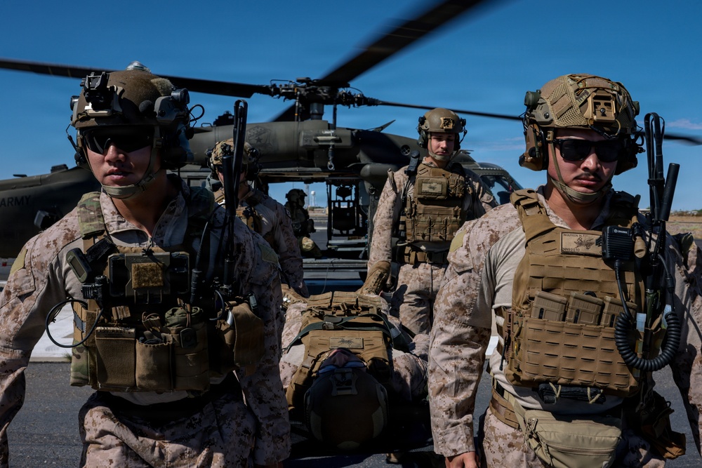 4th, 5th Air Naval Gunfire Liaison Company Marines conduct casualty evacuation training and reconnaissance