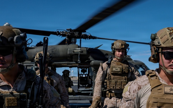 4th, 5th Air Naval Gunfire Liaison Company Marines conduct casualty evacuation training and reconnaissance