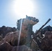 4th, 5th Air Naval Gunfire Liaison Company Marines conduct dry close air support