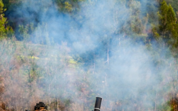 1-27 Fire support coordination exercise