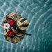 EOD Technicians Conduct Helocast Operations During Mine Countermeasures Training