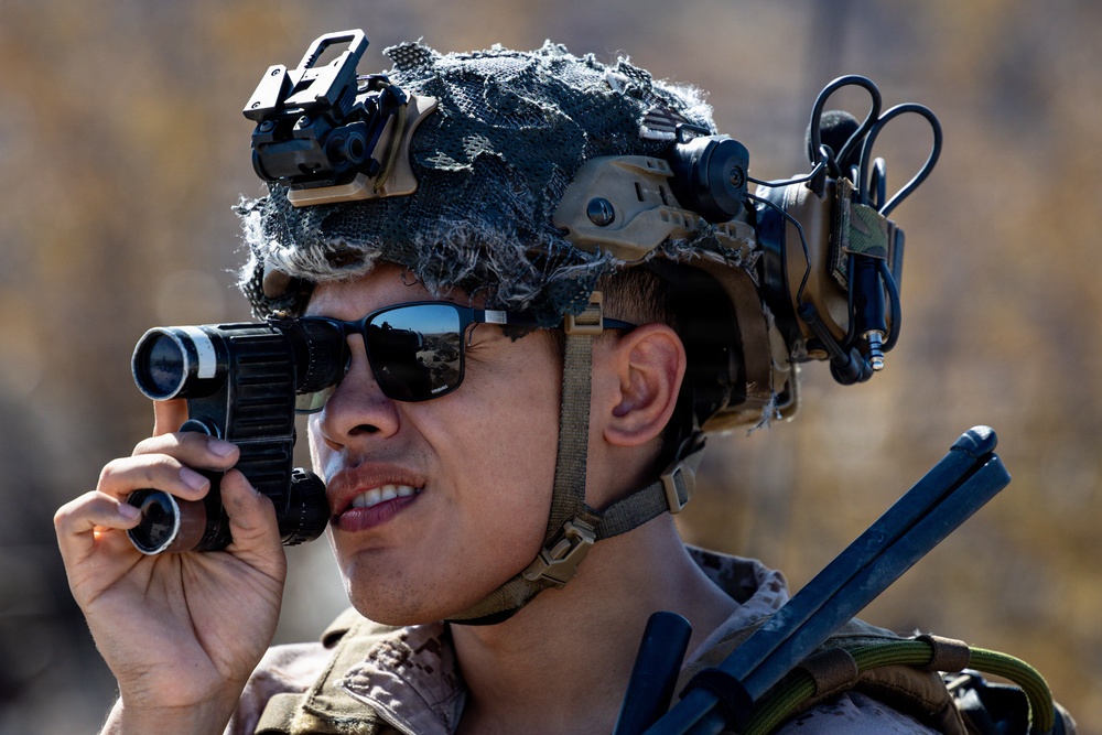 4th, 5th Air Naval Gunfire Liaison Company Marines conduct live-fire close air support