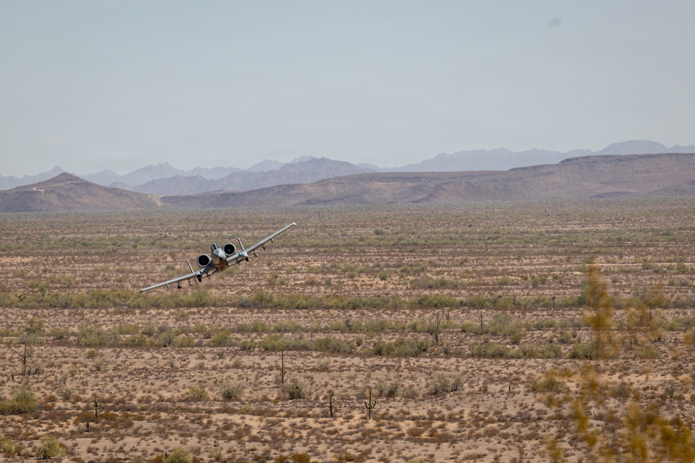4th, 5th Air Naval Gunfire Liaison Company Marines conduct live-fire close air support