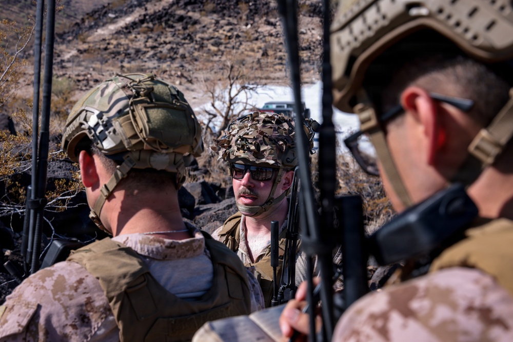 5th  Air Naval Gunfire Liaison Company Marines and 7th Parachute Regiment Royal Horse Artillery soldiers conduct live-fire close air support