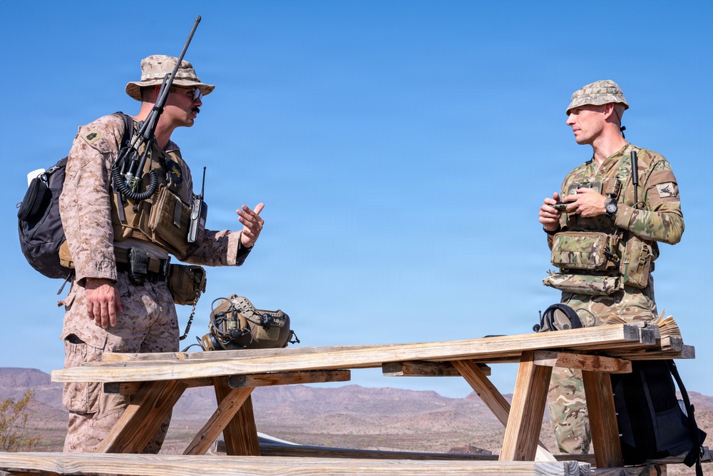 5th  Air Naval Gunfire Liaison Company Marines and 7th Parachute Regiment Royal Horse Artillery soldiers conduct live-fire close air support