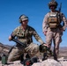 5th  Air Naval Gunfire Liaison Company Marines and 7th Parachute Regiment Royal Horse Artillery soldiers conduct live-fire close air support