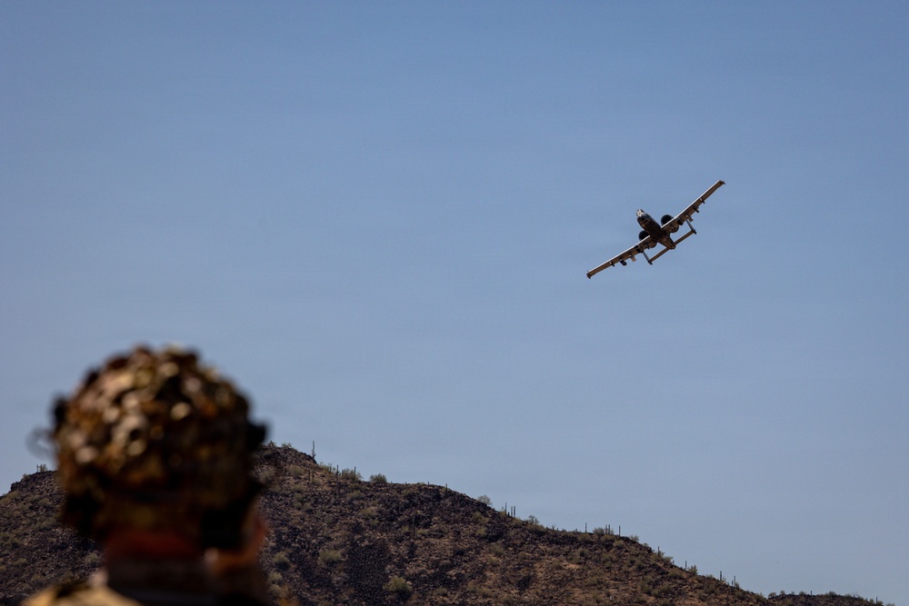 5th  Air Naval Gunfire Liaison Company Marines and 7th Parachute Regiment Royal Horse Artillery soldiers conduct live-fire close air support
