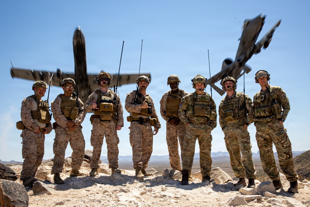 5th  Air Naval Gunfire Liaison Company Marines and 7th Parachute Regiment Royal Horse Artillery soldiers conduct live-fire close air support
