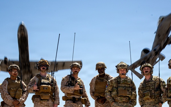 5th  Air Naval Gunfire Liaison Company Marines and 7th Parachute Regiment Royal Horse Artillery soldiers conduct live-fire close air support