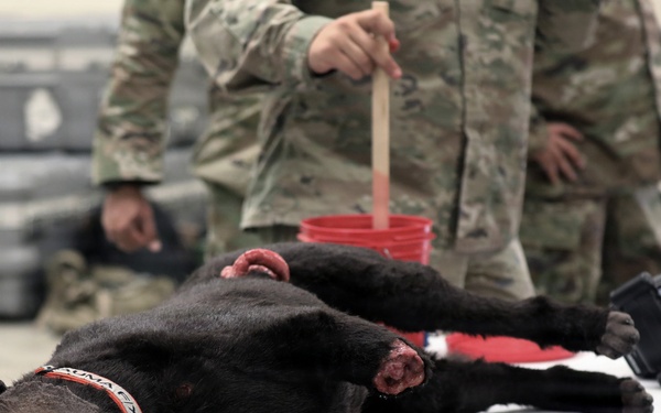 Army Reserve Soldiers make robots bleed and growl during Operation Bold Eagle 26