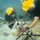 Multinational Navy divers conduct diving operations during RIMPAC 2026 Multinational Navy divers conduct diving operations during RIMPAC 2026