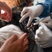 Early dental care keeps Spangdahlem Air Base military working dogs’ bite in the fight